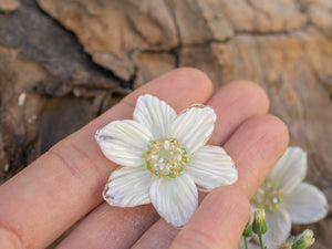 White flower bead