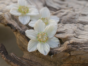 White flower bead